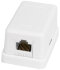 Настенная розетка NETLAN EC-UWO-1-UD2-WT-10, Кат.5e, 1 порт, неэкранированная, белая, 10шт.