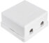 Настенная розетка NETLAN EC-UWO-2-UD2-WT-10, Кат.5e, 2 порта, неэкранированная, белая, 10шт.