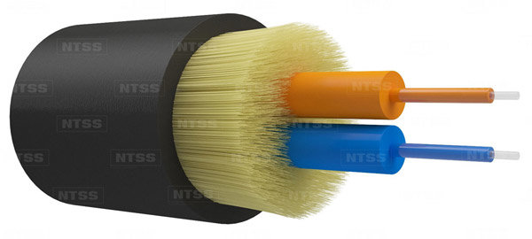 NTSS-FO-D-IN/OUT-62.5-2-LSZH NTSS-FO-D-IN/OUT-62.5-2-LSZH