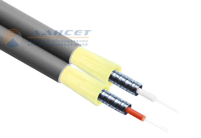 FK-ARM-DX-IN/OUT-62-2-LSZH-GY